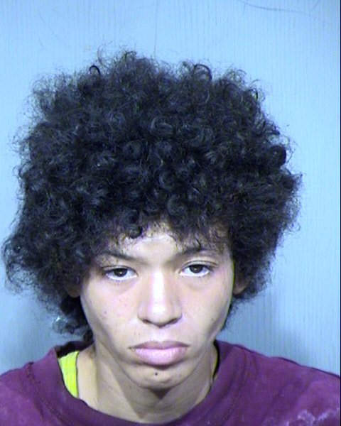 SABLE HUNTER Mugshot / Maricopa County Arrests / Maricopa County Arizona