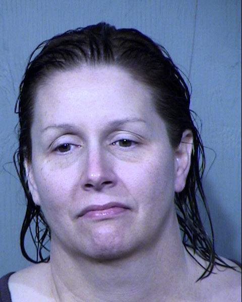 ANNE ELIZABETH SPIRLONG Mugshot / Maricopa County Arrests / Maricopa County Arizona
