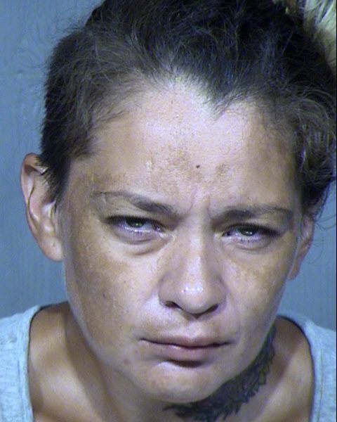 MARY MONIQUE YBANEZ Mugshot / Maricopa County Arrests / Maricopa County Arizona