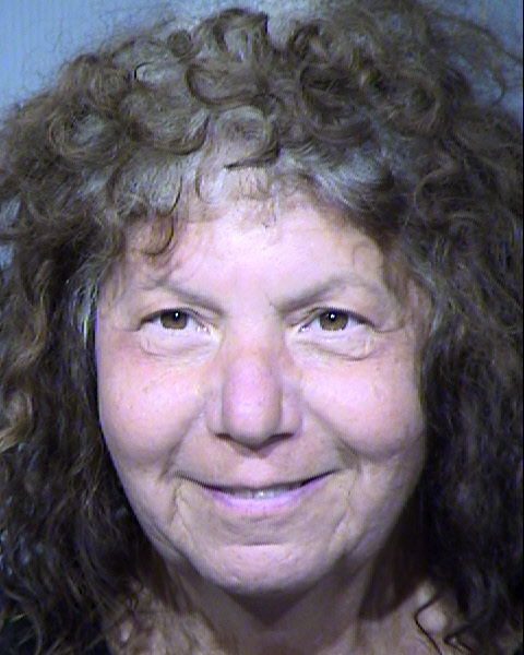 DEBRA MICHELE EINHORN Mugshot / Maricopa County Arrests / Maricopa County Arizona