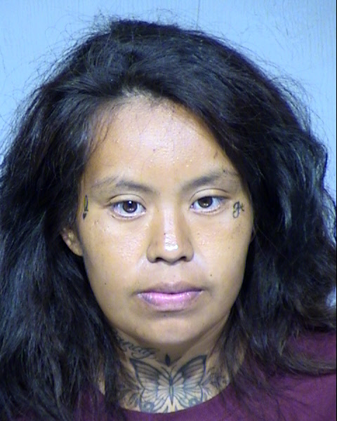 ASHLEY DANELLE YARMATA Mugshot / Maricopa County Arrests / Maricopa County Arizona