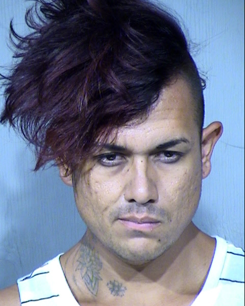 REUBEN SALVADOR DELIZ Mugshot / Maricopa County Arrests / Maricopa County Arizona