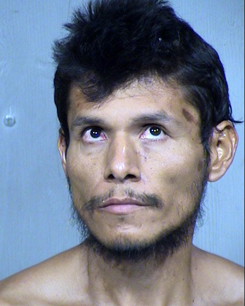 FRANCISCO JAVIER COTA PACHECO Mugshot / Maricopa County Arrests / Maricopa County Arizona