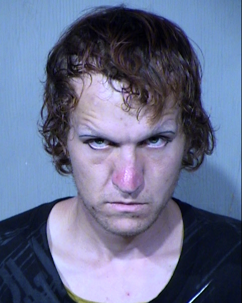 JOHSUA ELIEUGENE HENRY Mugshot / Maricopa County Arrests / Maricopa County Arizona