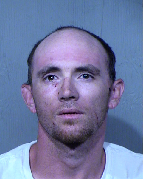 WAYNE ROBERT WILSON Mugshot / Maricopa County Arrests / Maricopa County Arizona