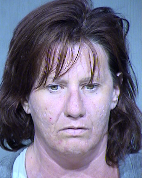 ELIZABETH ANNE WHITNEY Mugshot / Maricopa County Arrests / Maricopa County Arizona