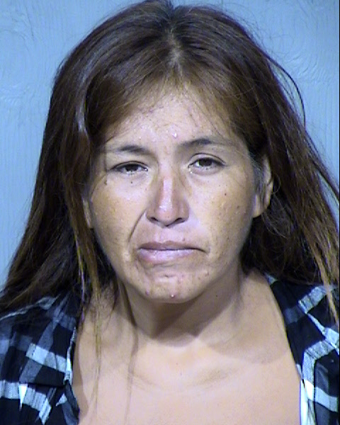 AMADA MARIE LOMELI Mugshot / Maricopa County Arrests / Maricopa County Arizona