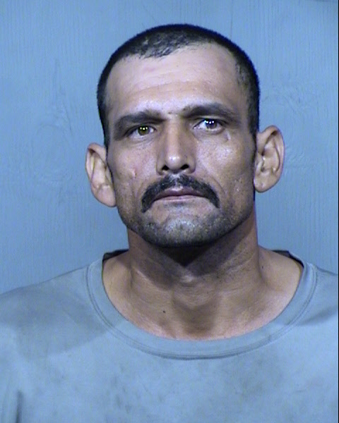 JOSE MANUEL CASTRO PALAFOX Mugshot / Maricopa County Arrests / Maricopa County Arizona