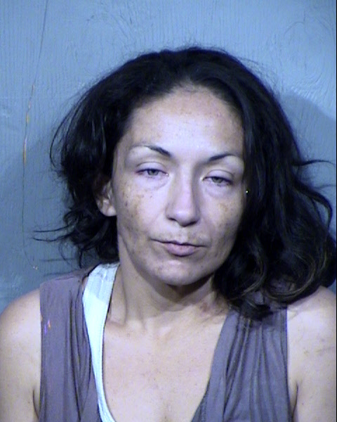 THERESA MARTINEZ Mugshot / Maricopa County Arrests / Maricopa County Arizona