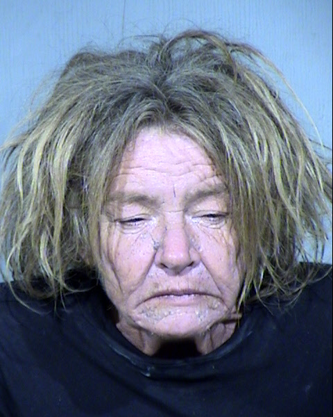 AMY CAMILLE WHITE Mugshot / Maricopa County Arrests / Maricopa County Arizona