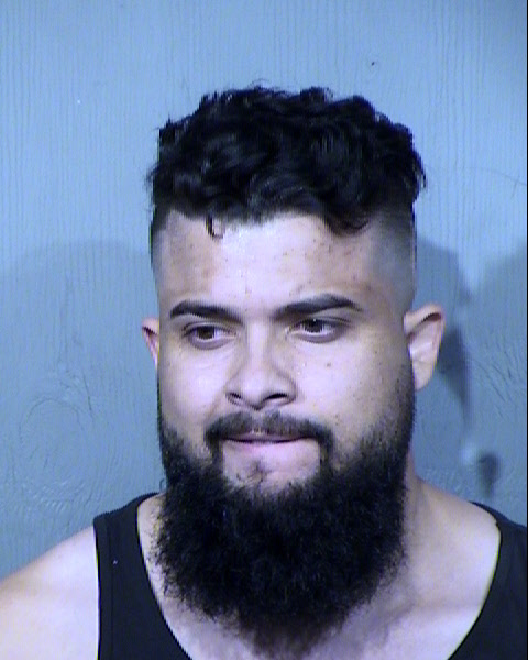 ANTONESCU ROLAND Mugshot / Maricopa County Arrests / Maricopa County Arizona