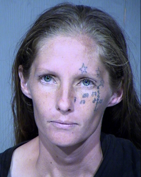 STEPHANIE LYNN SHEGRUD Mugshot / Maricopa County Arrests / Maricopa County Arizona