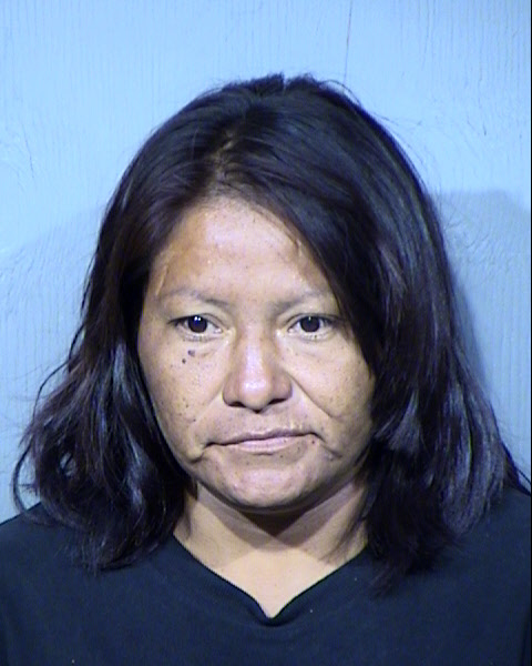 SHIRLENA GEORGE Mugshot / Maricopa County Arrests / Maricopa County Arizona