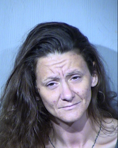 RACHEL ANN MCKINLEY Mugshot / Maricopa County Arrests / Maricopa County Arizona