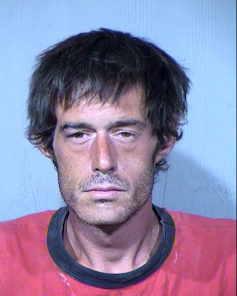 ANDREW KING LEAMONS Mugshot / Maricopa County Arrests / Maricopa County Arizona