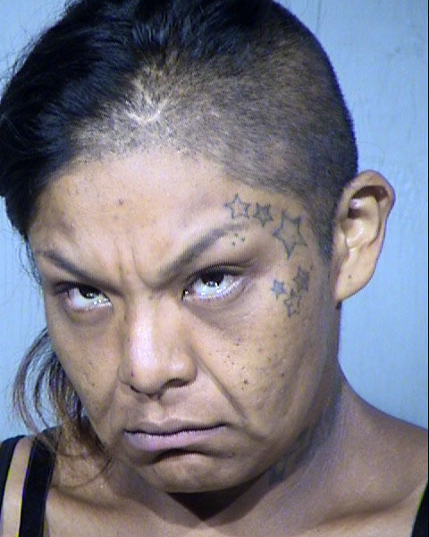 SARAH MARIE ANDRADE Mugshot / Maricopa County Arrests / Maricopa County Arizona