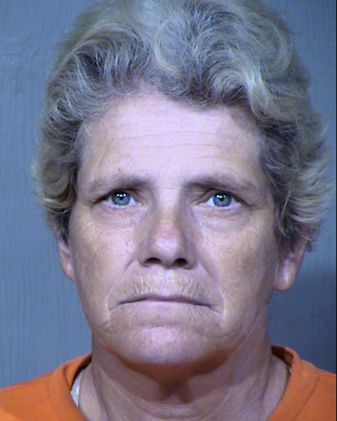 MARINA LYNN DAVIS Mugshot / Maricopa County Arrests / Maricopa County Arizona