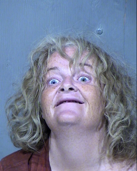 TERESA A COLLINS Mugshot / Maricopa County Arrests / Maricopa County Arizona