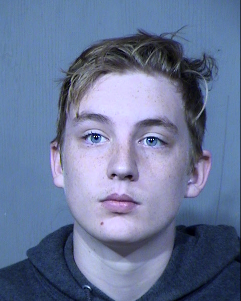 BRAEDEN CHRISTOPHER WITHROW Mugshot / Maricopa County Arrests / Maricopa County Arizona