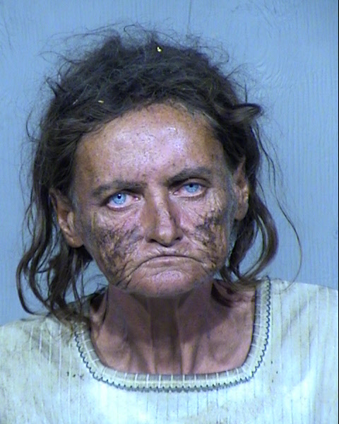 BRENDA LEE MEDDOCK Mugshot / Maricopa County Arrests / Maricopa County Arizona