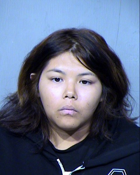 LISA MARIE ACUNIA Mugshot / Maricopa County Arrests / Maricopa County Arizona