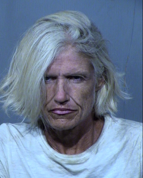 CHRISTY LYN LEWIS Mugshot / Maricopa County Arrests / Maricopa County Arizona