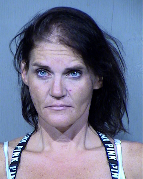 KATHLEEN ELIZABETH GUSTAFSON Mugshot / Maricopa County Arrests / Maricopa County Arizona