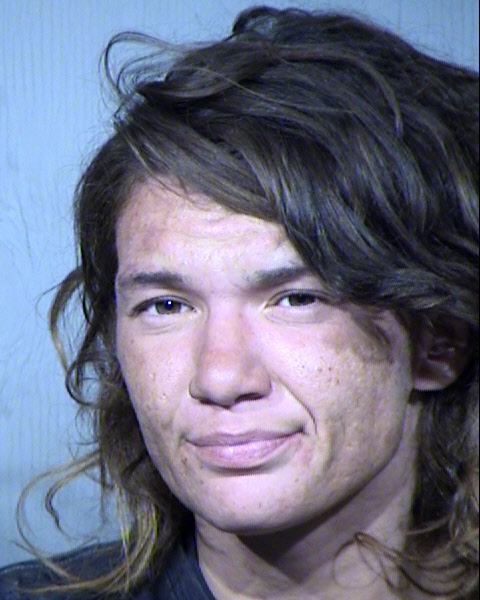 ALEXANDRIA FREEDOM KING Mugshot / Maricopa County Arrests / Maricopa County Arizona