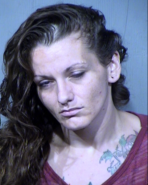 JENNIFER LEIGHANNE JOHNSON Mugshot / Maricopa County Arrests / Maricopa County Arizona