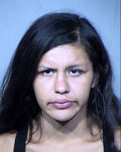 MARLENA INEZ MEJIA Mugshot / Maricopa County Arrests / Maricopa County Arizona