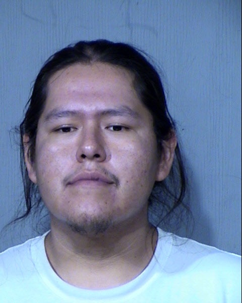 TYLER NELSON Mugshot / Maricopa County Arrests / Maricopa County Arizona