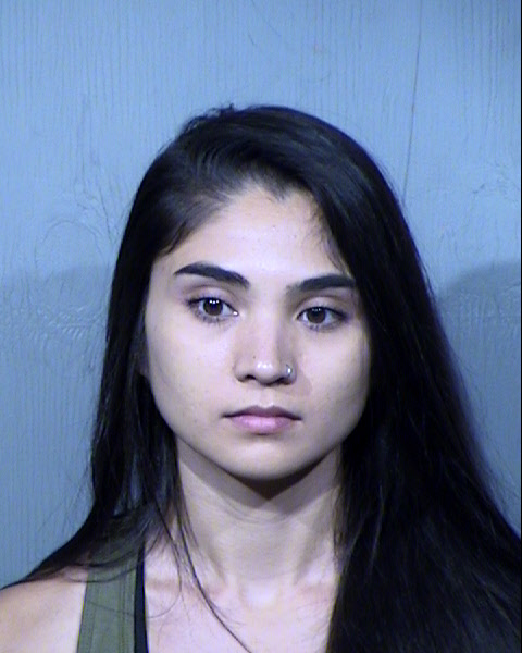 LEAH ELIZABETH SCHENKELBERG Mugshot / Maricopa County Arrests / Maricopa County Arizona