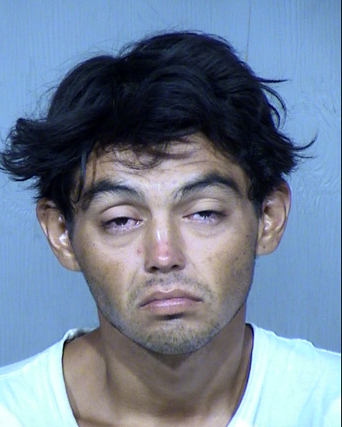 DAVID CHRISTOPHER NEAL Mugshot / Maricopa County Arrests / Maricopa County Arizona