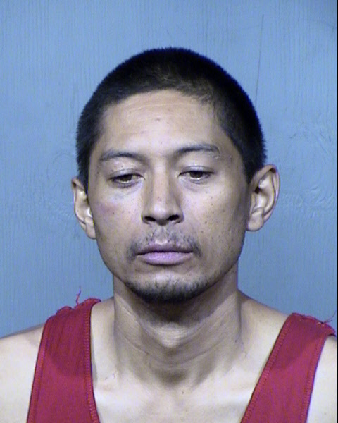 JOHN C IANNELLO Mugshot / Maricopa County Arrests / Maricopa County Arizona