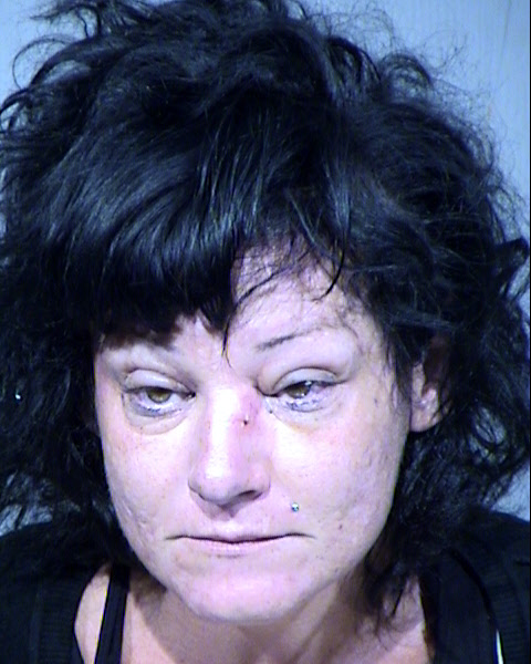 MICHELLE MARIE HENDERSON Mugshot / Maricopa County Arrests / Maricopa County Arizona