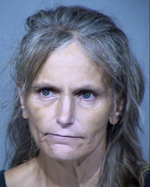 MARY ELISABETH LAMB Mugshot / Maricopa County Arrests / Maricopa County Arizona