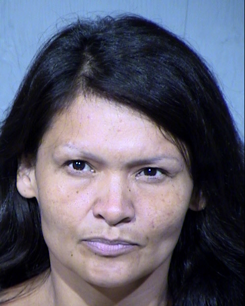 MELANIE JANET ROBERTSON Mugshot / Maricopa County Arrests / Maricopa County Arizona