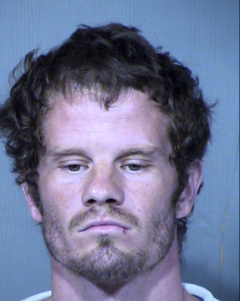 MICHAEL DOUGLAS PALMER Mugshot / Maricopa County Arrests / Maricopa County Arizona