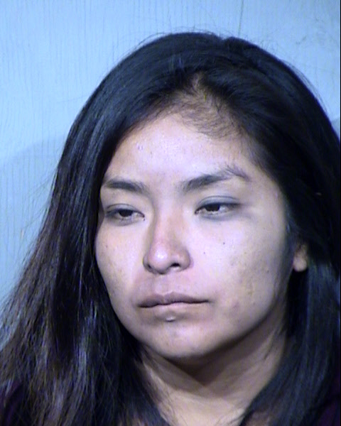 MELISSA TERRIE MANSFIELD Mugshot / Maricopa County Arrests / Maricopa County Arizona