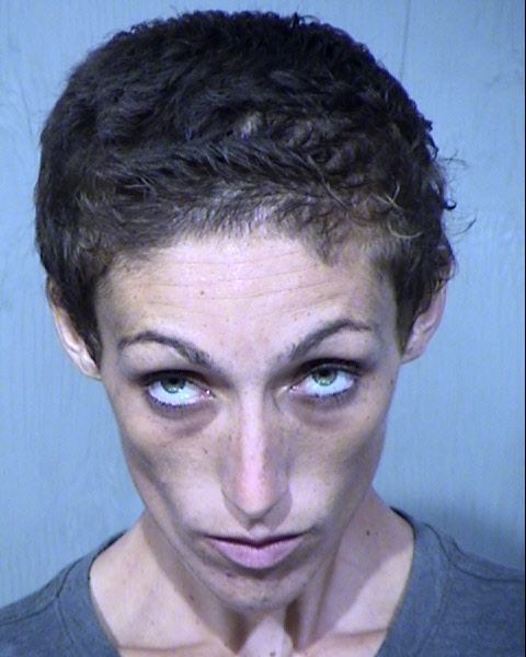 LINSEY ROSE MARTIN Mugshot / Maricopa County Arrests / Maricopa County Arizona