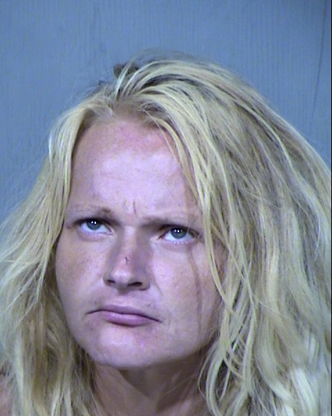 LALI CHRISTEN VINICOMBE Mugshot / Maricopa County Arrests / Maricopa County Arizona