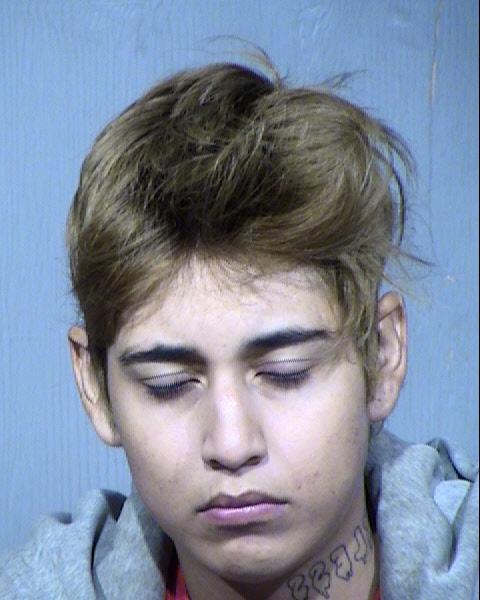 CARRISSA GARCIA Mugshot / Maricopa County Arrests / Maricopa County Arizona