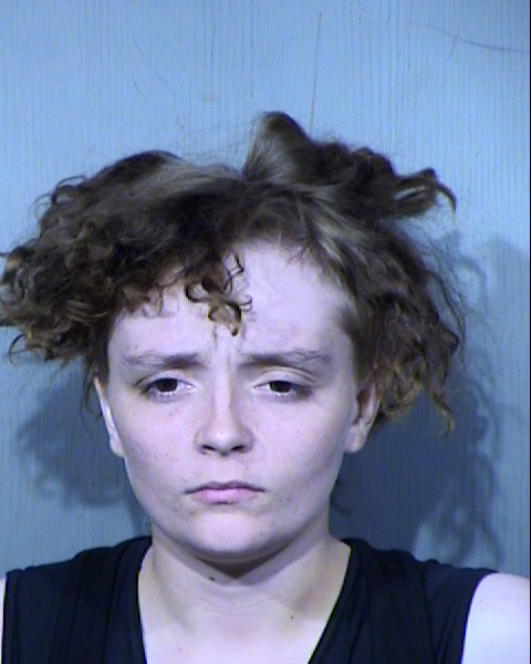 TAYLOR LEE FARNHAM Mugshot / Maricopa County Arrests / Maricopa County Arizona
