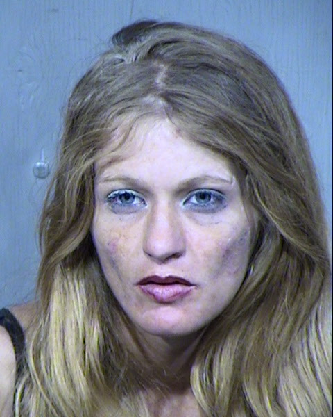 CYNTHIA LYNN NORWOOD Mugshot / Maricopa County Arrests / Maricopa County Arizona