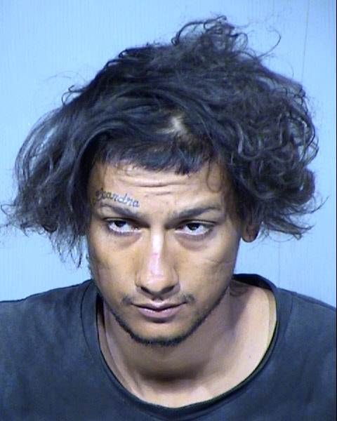 FERNANDO CASTILLO Mugshot / Maricopa County Arrests / Maricopa County Arizona