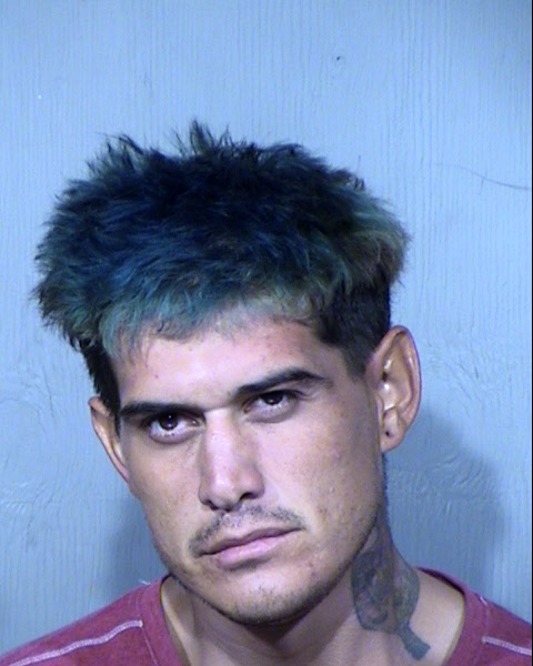 NICHOLAS D FLORES Mugshot / Maricopa County Arrests / Maricopa County Arizona