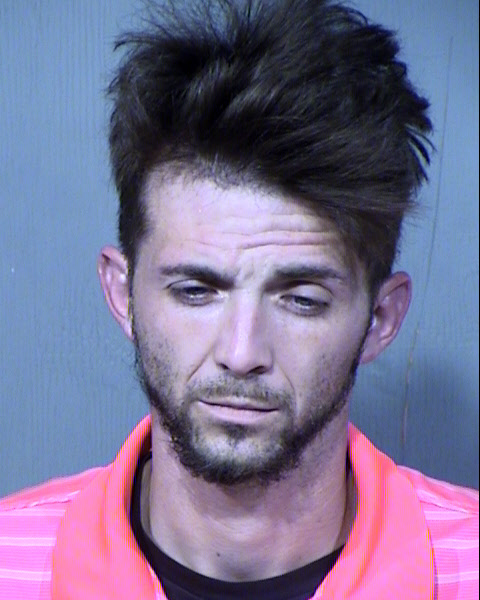 MICHAEL BRANDON LAMOREE Mugshot / Maricopa County Arrests / Maricopa County Arizona