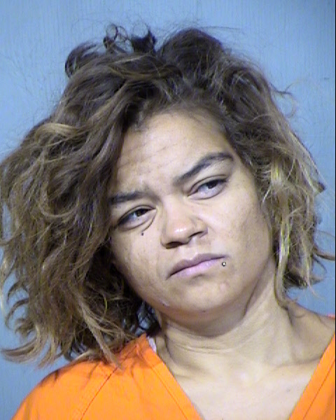 JENNIFER DELORES EVANS Mugshot / Maricopa County Arrests / Maricopa County Arizona