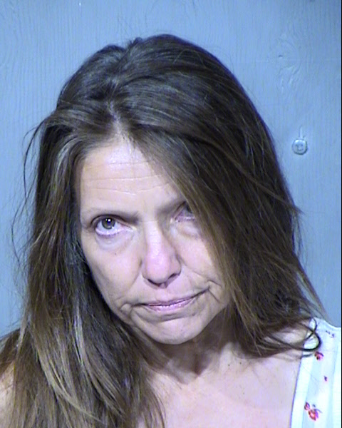 MARIA E DELUNA Mugshot / Maricopa County Arrests / Maricopa County Arizona
