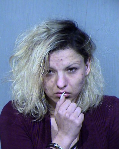 LJILJANA M RADOVANOVIC Mugshot / Maricopa County Arrests / Maricopa County Arizona